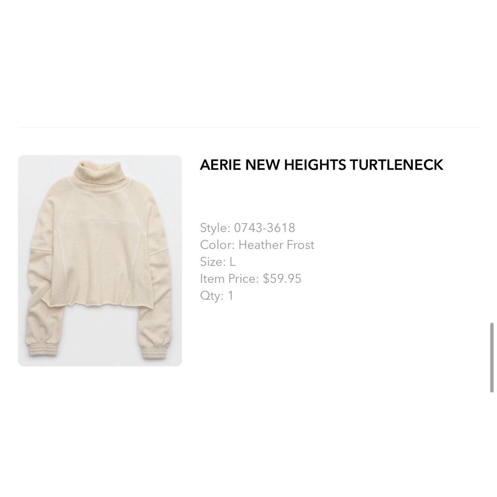 Aerie new heights turtleneck